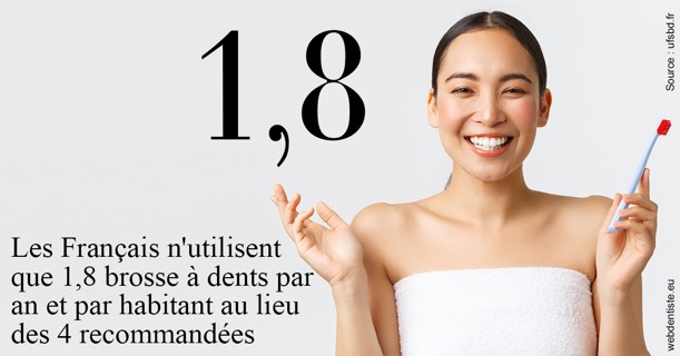 https://dr-vidal-alain.chirurgiens-dentistes.fr/Français brosses