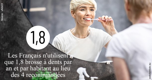 https://dr-vidal-alain.chirurgiens-dentistes.fr/Français brosses 2
