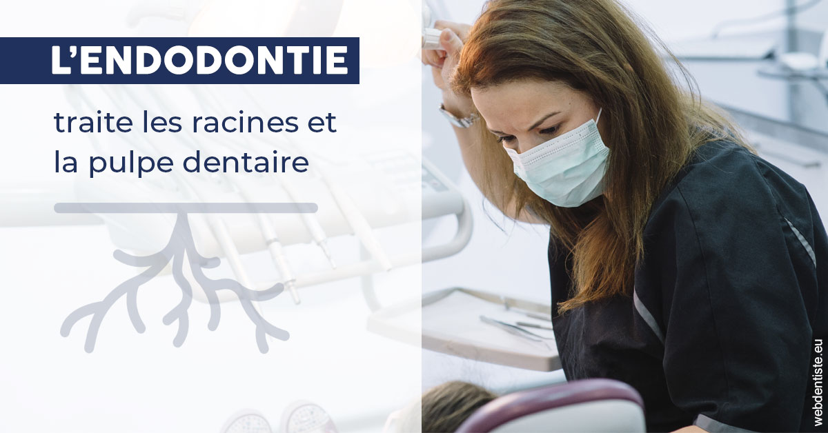 https://dr-vidal-alain.chirurgiens-dentistes.fr/L'endodontie 1