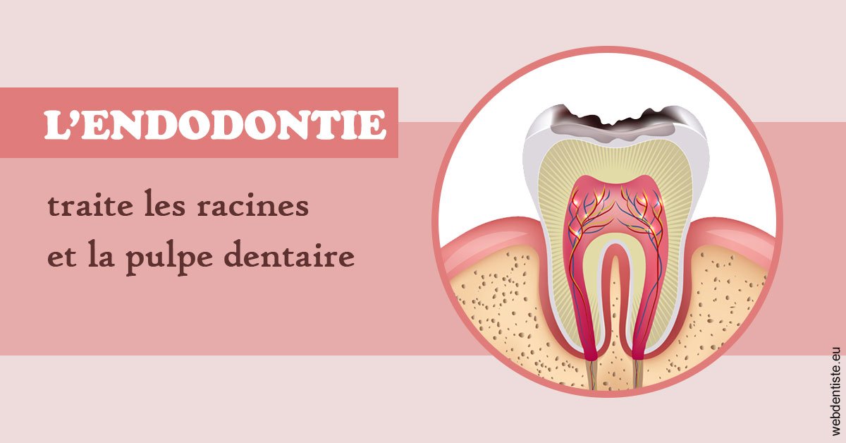 https://dr-vidal-alain.chirurgiens-dentistes.fr/L'endodontie 2