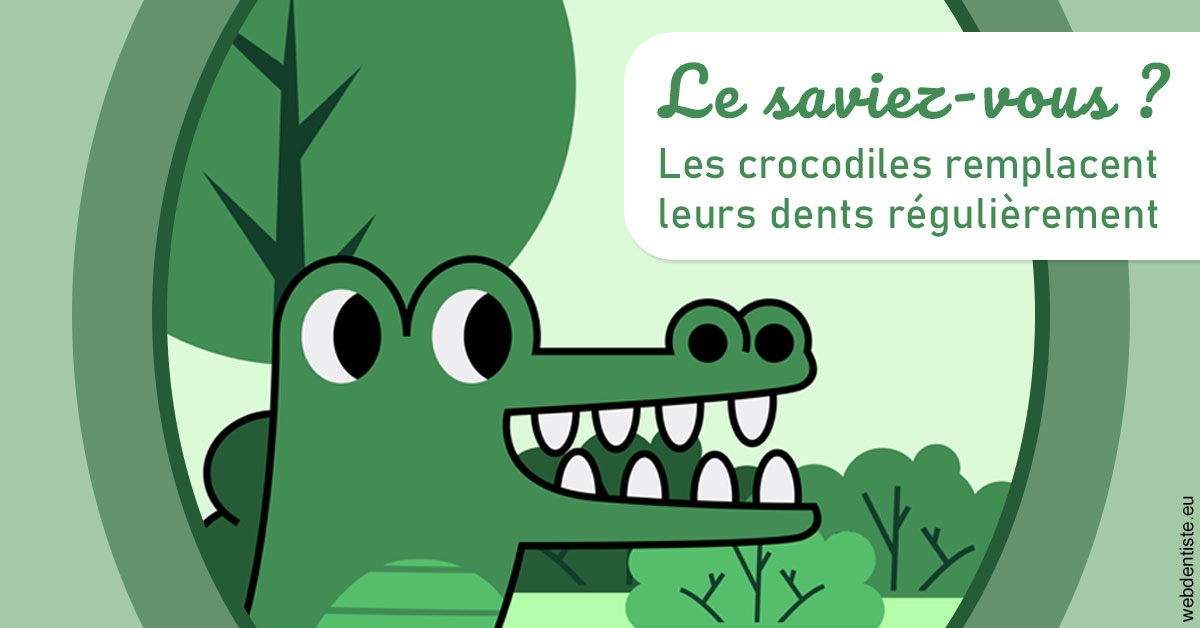 https://dr-vidal-alain.chirurgiens-dentistes.fr/Crocodiles 2